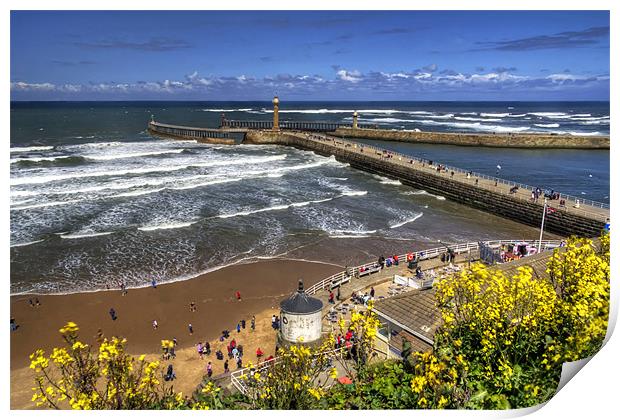 West Cliff Beach Print by Tom Gomez