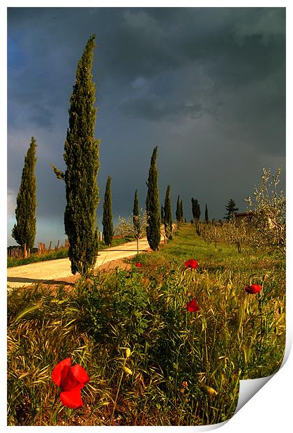 Toscana thunderstorm Print by Thomas Schaeffer