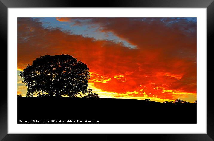 Orange evening Framed Mounted Print by Ian Purdy