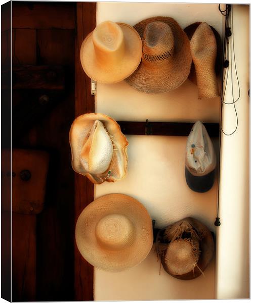 Still life of hats Canvas Print by David Worthington