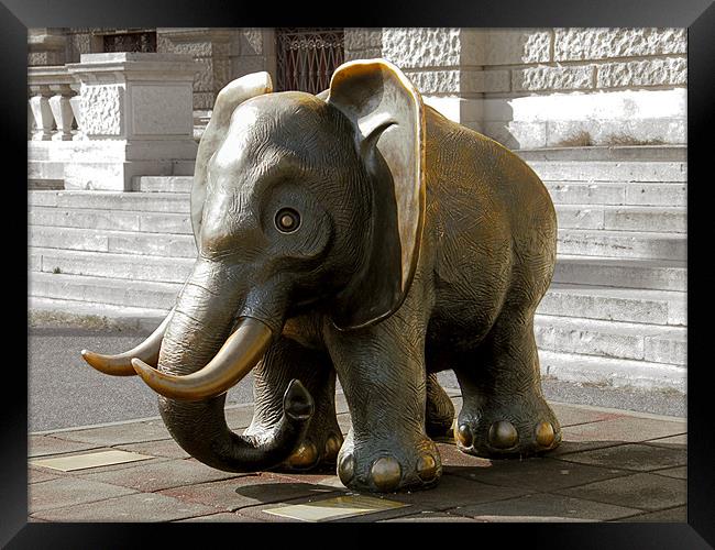 The Brass Elephant Of Vienna Framed Print by Gary Barratt