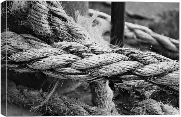 Mooring Rope Canvas Print by barnabas whiting
