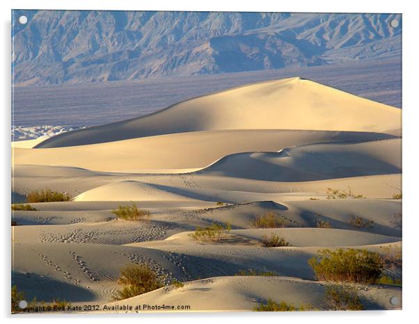 Death Valley Dunes Acrylic by Eva Kato