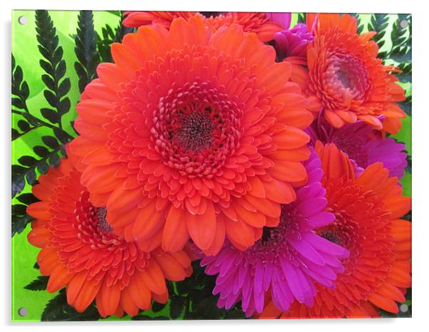 Flaming Orange and lilac Gerbera Acrylic by Marilyn PARKER
