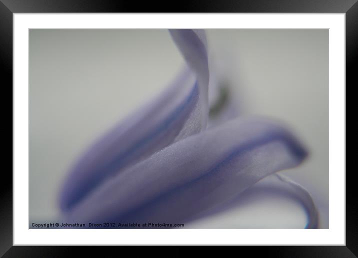bluebell close up Framed Mounted Print by Johnathan  Dixon
