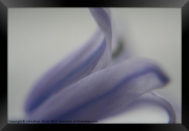 bluebell close up Framed Print by Johnathan  Dixon