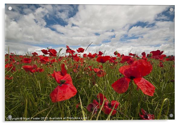 Big poppies Acrylic by Creative Photography Wales