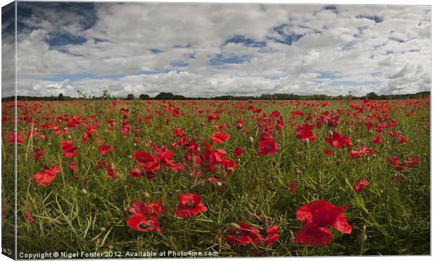 Wiltshire poppy field Canvas Print by Creative Photography Wales