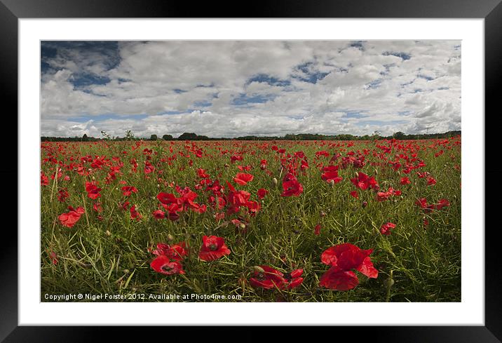 Wiltshire poppy field Framed Mounted Print by Creative Photography Wales