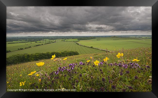 Pewsey Vale Summer landscape Framed Print by Creative Photography Wales