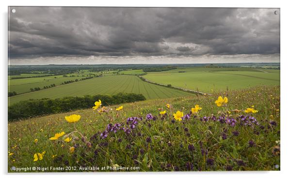 Pewsey Vale Summer landscape Acrylic by Creative Photography Wales