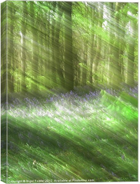 Bluebell Blur Canvas Print by Creative Photography Wales