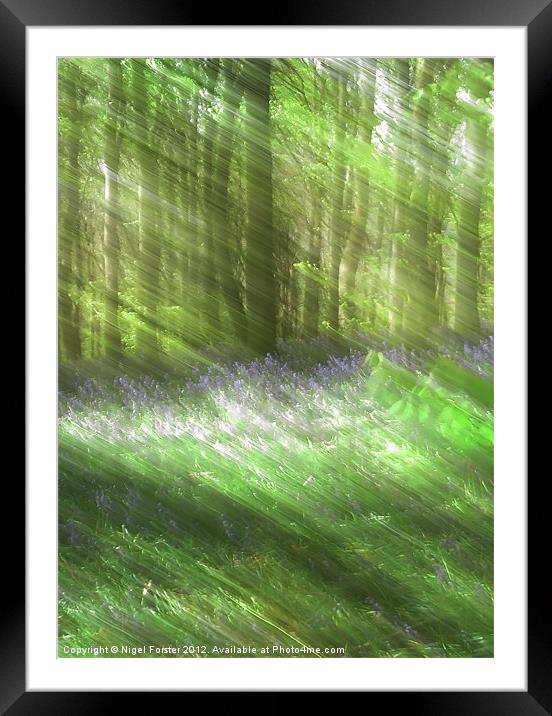 Bluebell Blur Framed Mounted Print by Creative Photography Wales