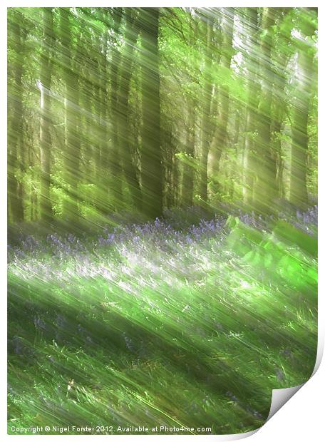 Bluebell Blur Print by Creative Photography Wales