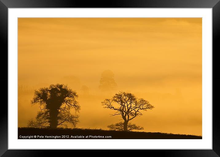 Trees in the morning Haze Framed Mounted Print by Pete Hemington