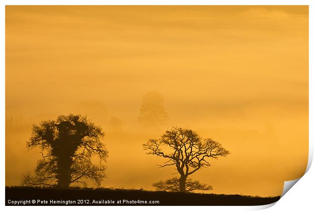 Trees in the morning Haze Print by Pete Hemington