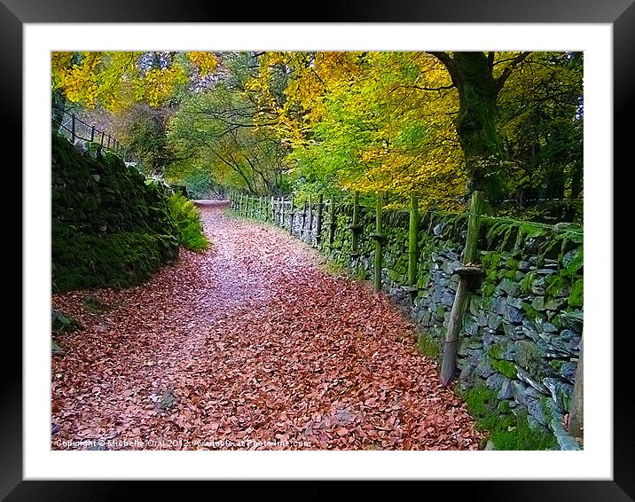 Lake District Path Framed Mounted Print by Michelle Orai
