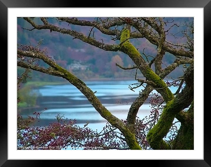 Lake through the branches Framed Mounted Print by Michelle Orai