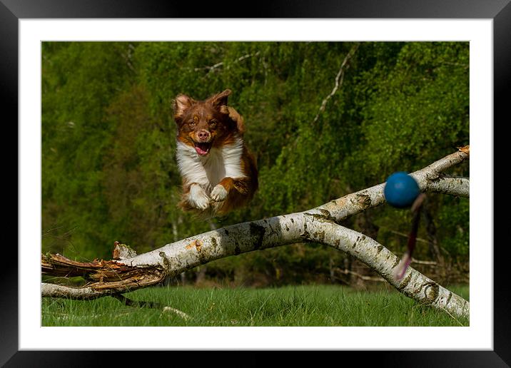 Catch the ball Framed Mounted Print by Thomas Schaeffer