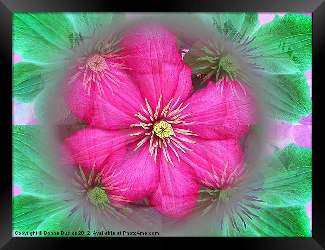 Flower illusion Framed Print by Donna Duclos