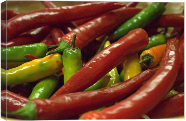 chillies, red & green Canvas Print by Fiona Snedden