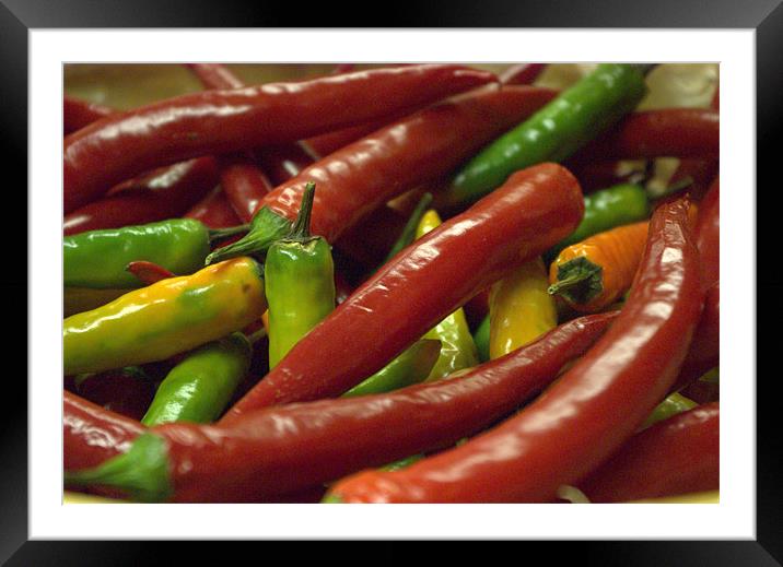 chillies, red & green Framed Mounted Print by Fiona Snedden