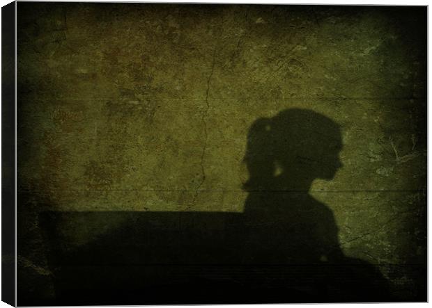 girl in the shadows Canvas Print by Heather Newton