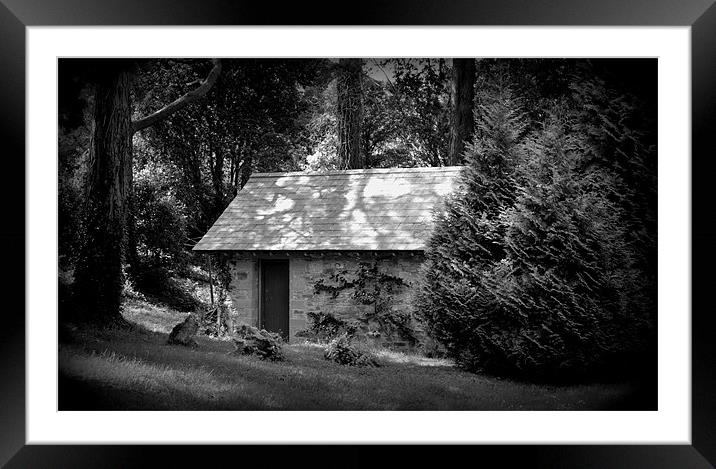 House in the Park Framed Mounted Print by barbara walsh