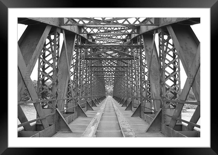 bridge Framed Mounted Print by
