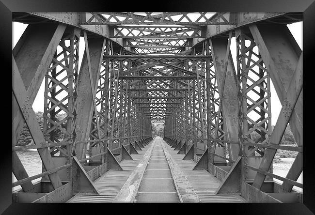 bridge Framed Print by