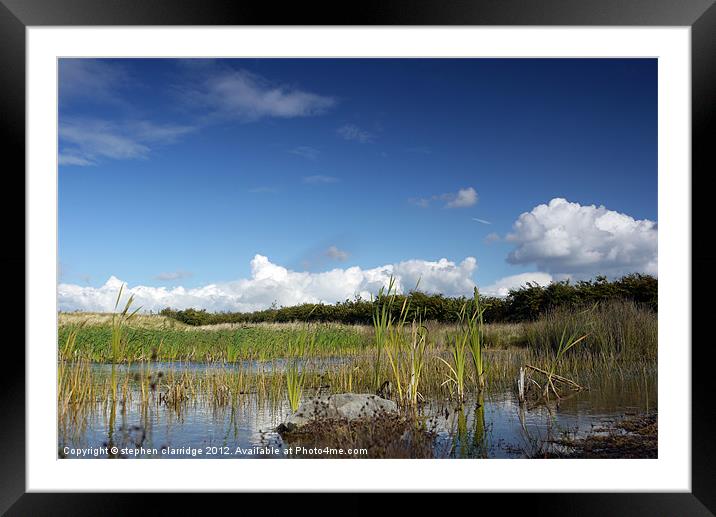 marshland landscape Framed Mounted Print by stephen clarridge