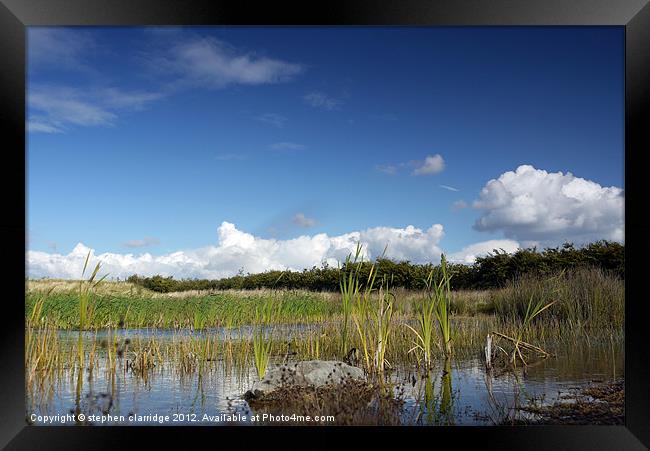 marshland landscape Framed Print by stephen clarridge