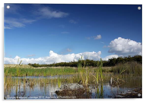 marshland landscape Acrylic by stephen clarridge