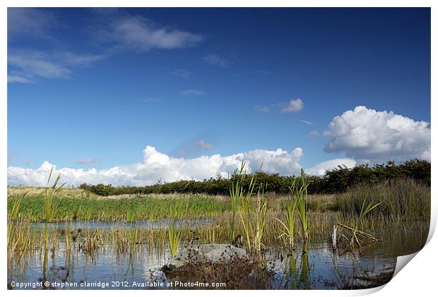 marshland landscape Print by stephen clarridge