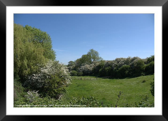 meadows at skegby nottinghamshire Framed Mounted Print by stephen clarridge