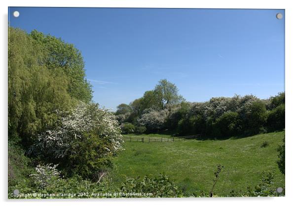 meadows at skegby nottinghamshire Acrylic by stephen clarridge