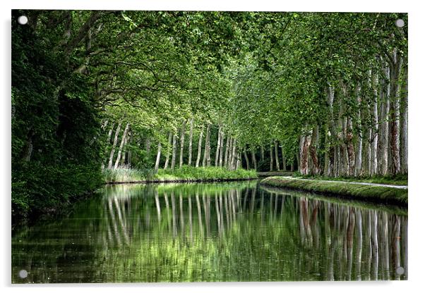 Canal du Midi Acrylic by Keith Barker