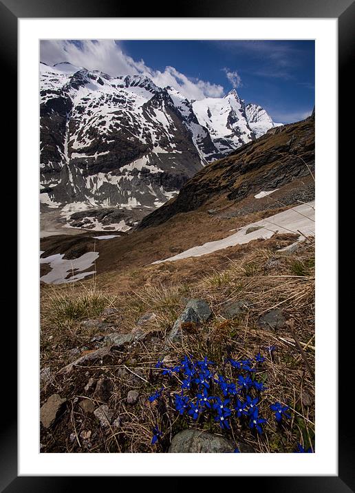 Grossglockner panoramic Framed Mounted Print by Thomas Schaeffer