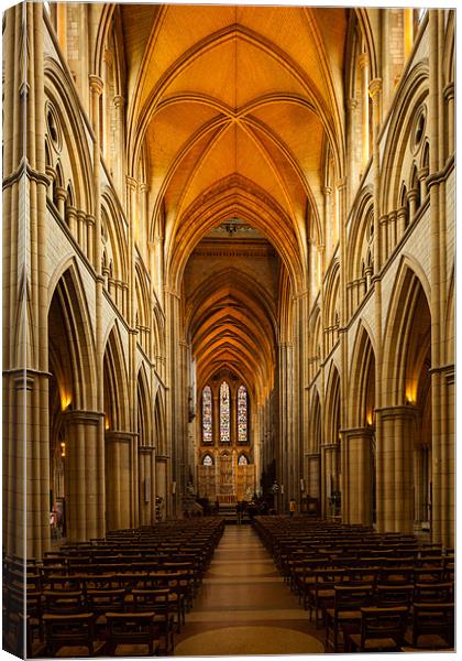 Truro Cathedral Canvas Print by Thomas Schaeffer