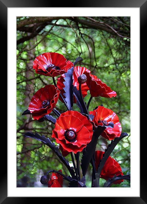 poppey sculpture Framed Mounted Print by paul chant