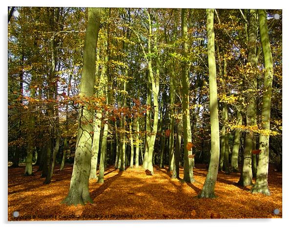 Autumn Carpet Acrylic by Michelle Orai