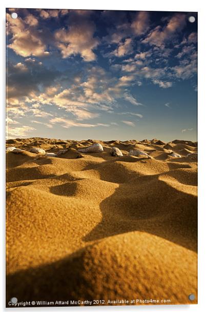 Sands of Kherka Acrylic by William AttardMcCarthy