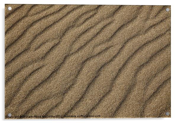 Dune Acrylic by William AttardMcCarthy