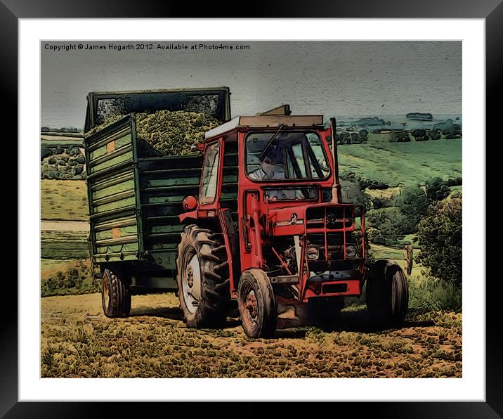 Massey Ferguson Workhorse Framed Mounted Print by James Hogarth