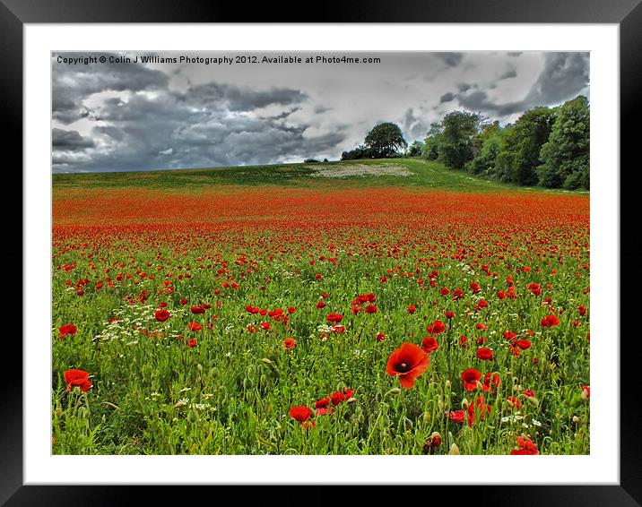 Poppy Field Near Henley Framed Mounted Print by Colin Williams Photography