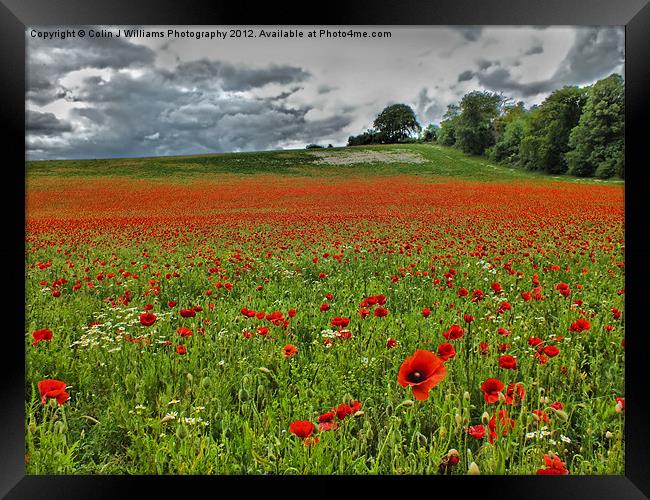 Poppy Field Near Henley Framed Print by Colin Williams Photography