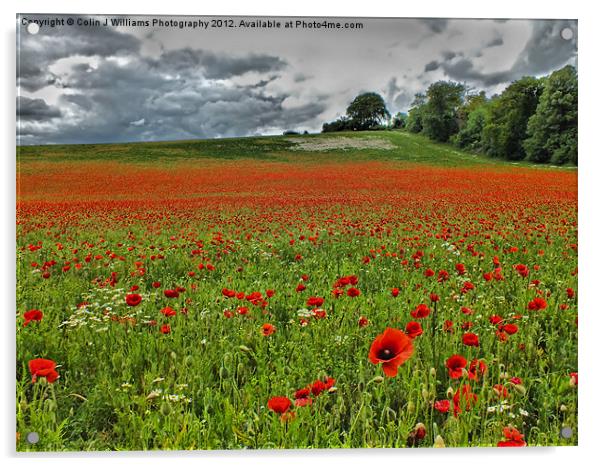 Poppy Field Near Henley Acrylic by Colin Williams Photography