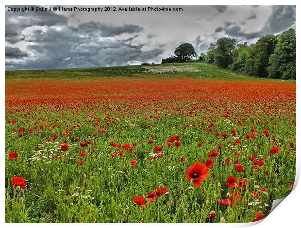 Poppy Field Near Henley Print by Colin Williams Photography