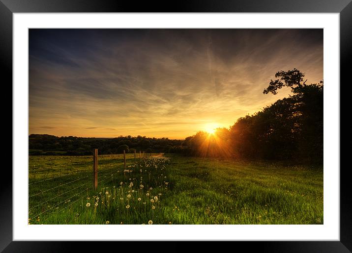 Dandelion Trail Sunset in Herefordshire Framed Mounted Print by Steven Clements LNPS