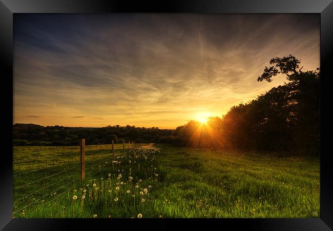 Dandelion Trail Sunset in Herefordshire Framed Print by Steven Clements LNPS